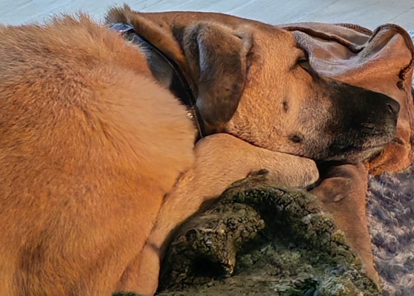 WhatsApp Image 2025-10-19 at 17.32.43 (2)