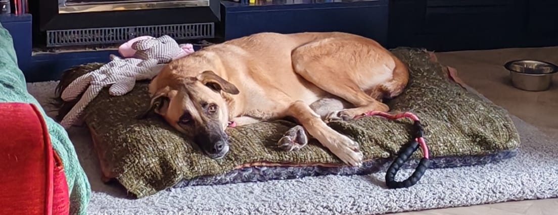 WhatsApp Image 2025-10-19 at 17.32.43 (3)