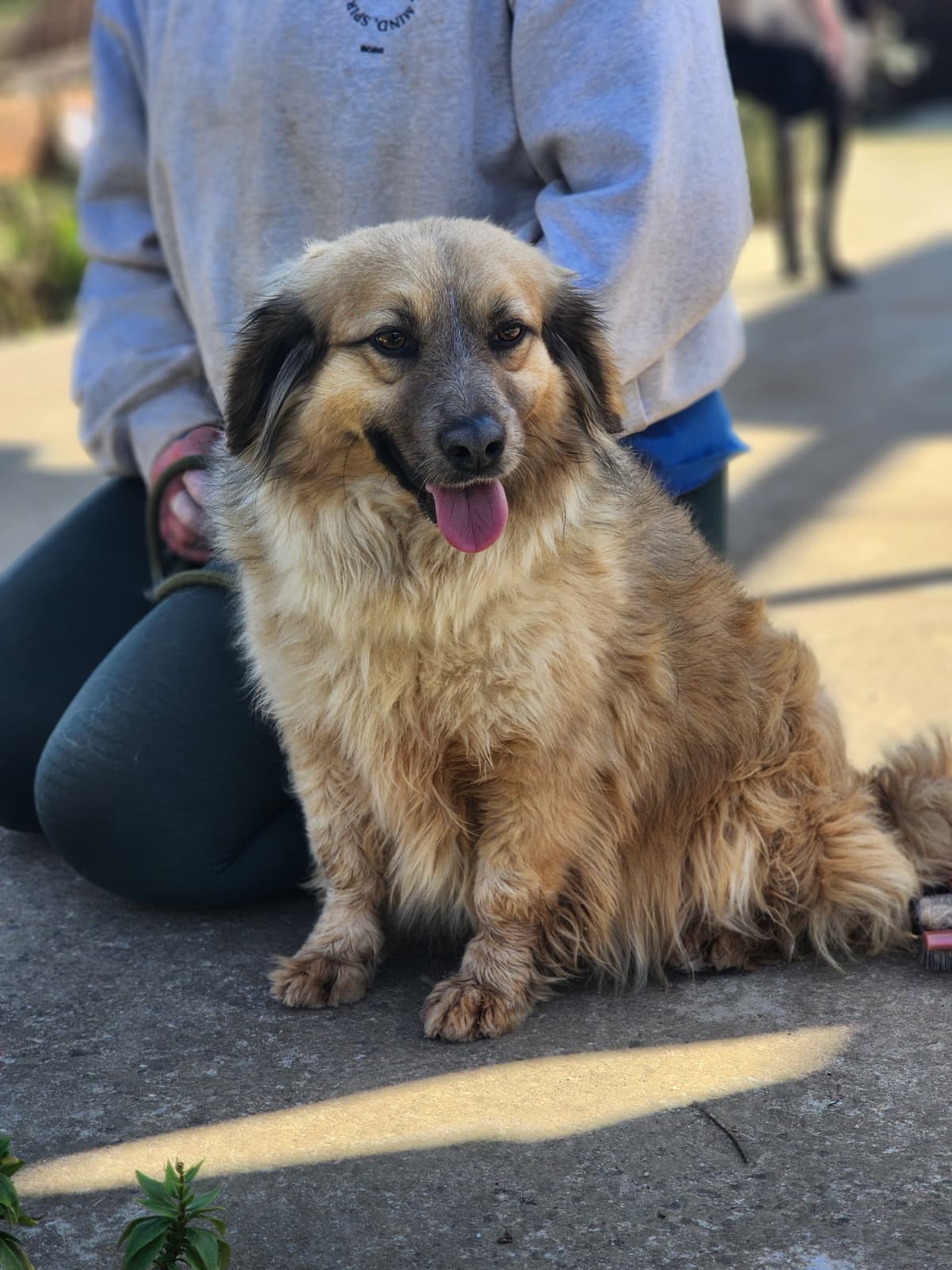 WhatsApp Image 2026-02-28 at 18.36.15