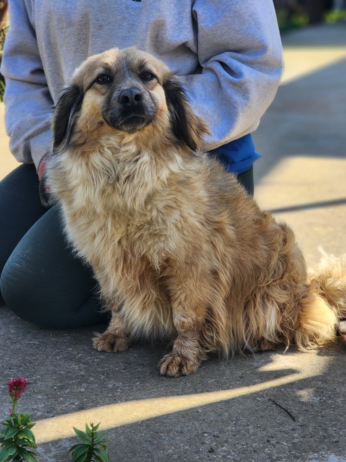 WhatsApp Image 2026-02-28 at 18.36.16 (1)