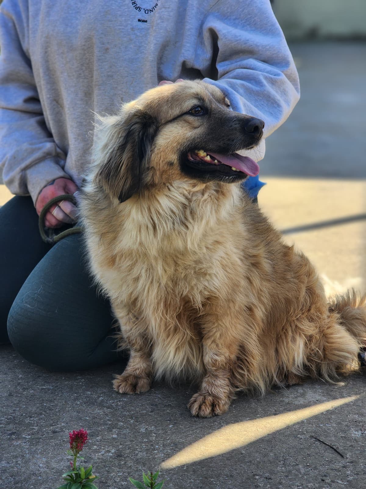 WhatsApp Image 2026-02-28 at 18.36.16 (2)