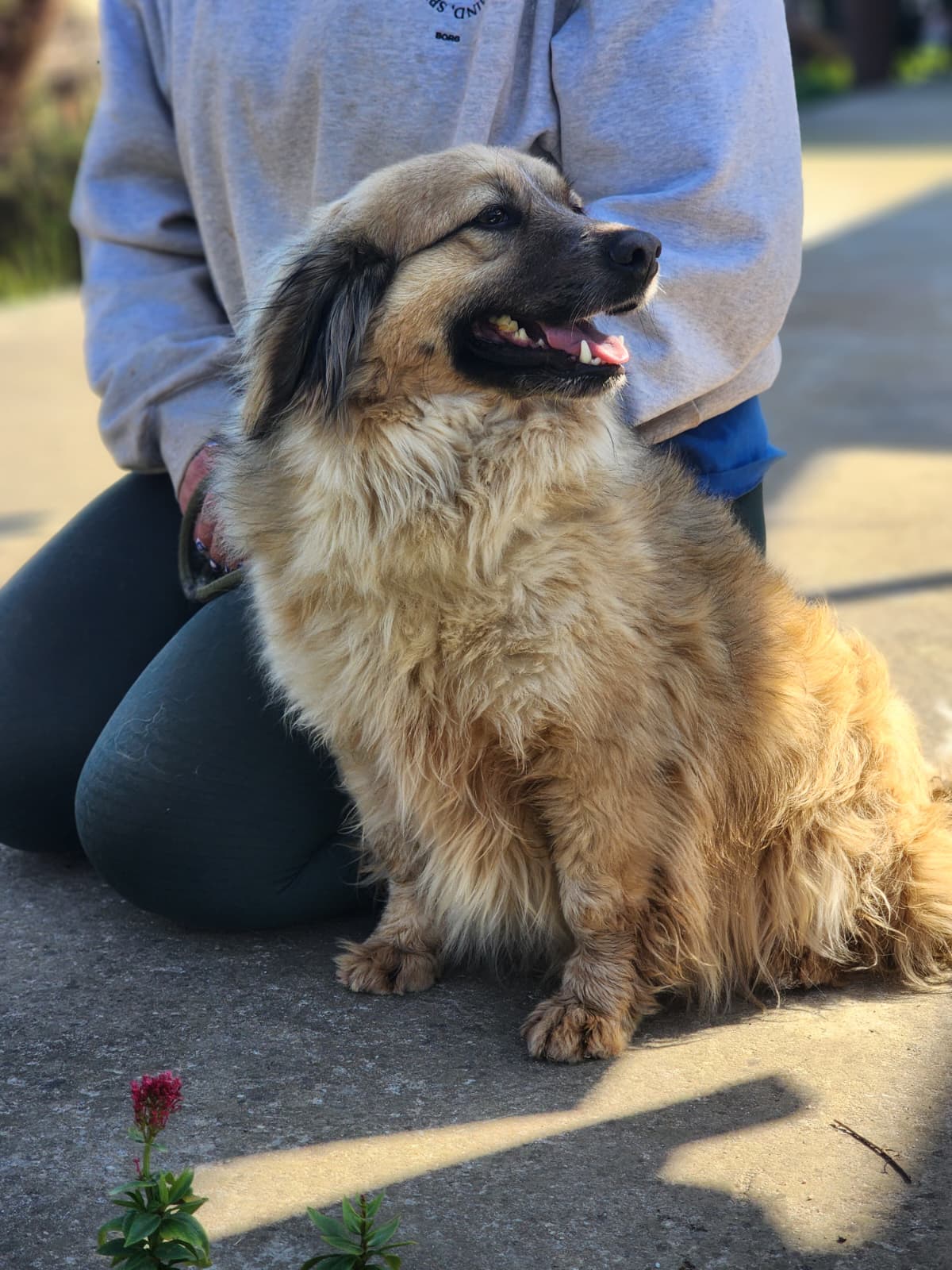 WhatsApp Image 2026-02-28 at 18.36.16