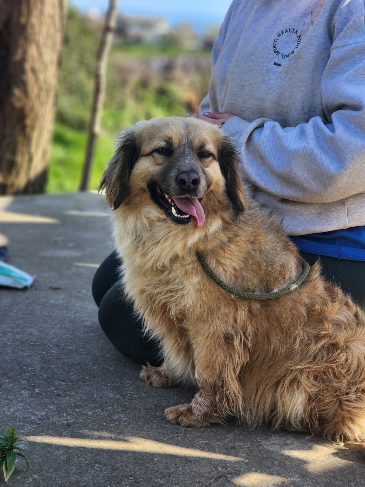 WhatsApp Image 2026-02-28 at 18.36.17