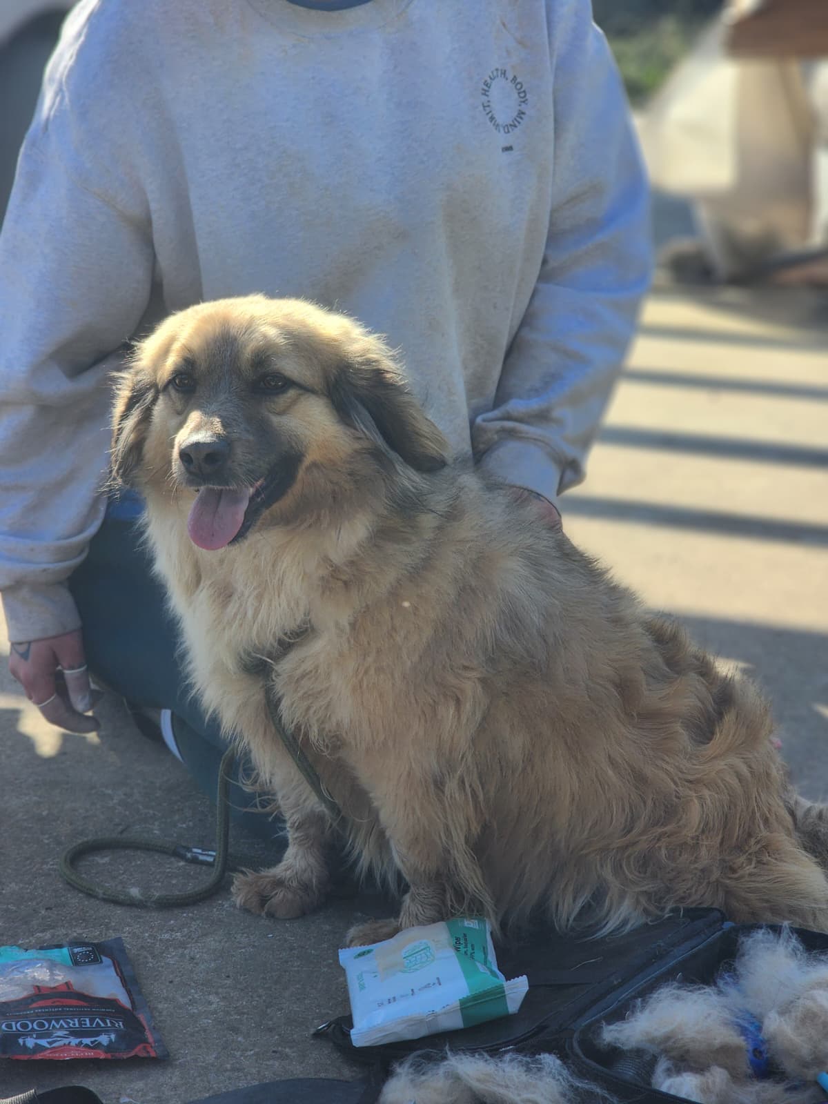 WhatsApp Image 2026-02-28 at 18.36.20 (2)