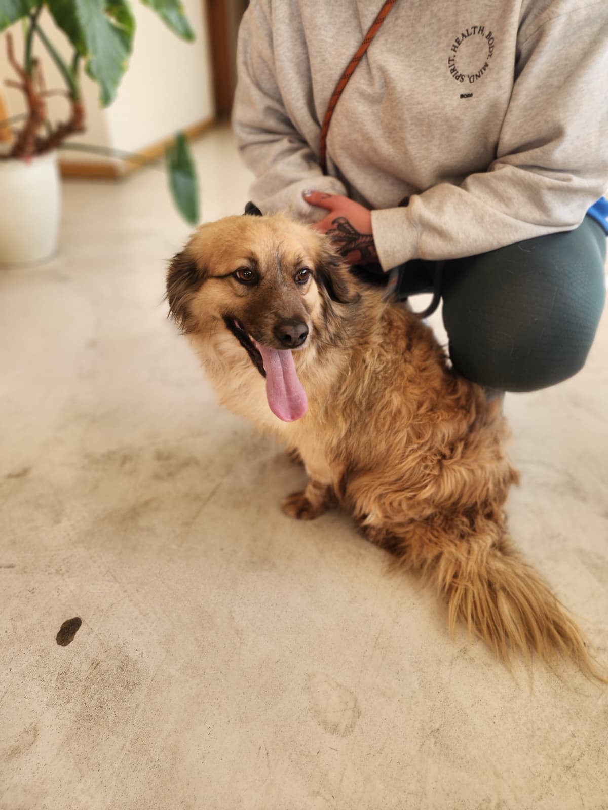 WhatsApp Image 2026-02-28 at 18.36.28 (1)