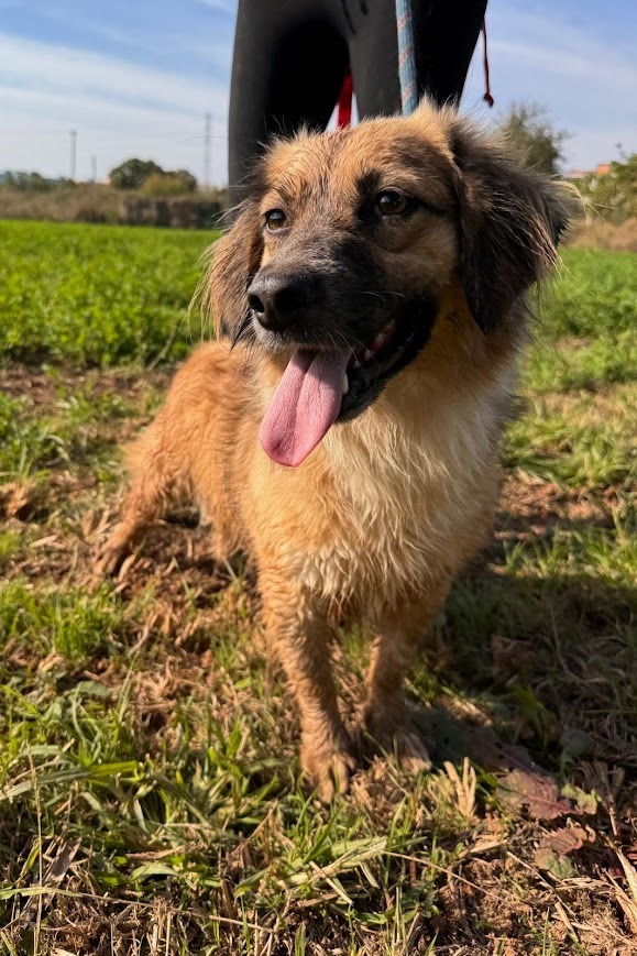 WhatsApp Image 2025-10-21 at 19.59.05