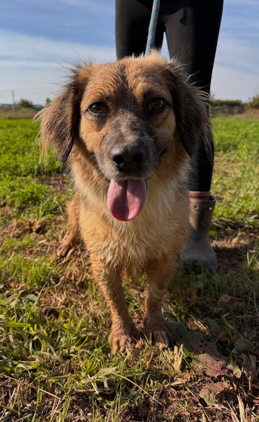 WhatsApp Image 2025-10-21 at 19.59.16