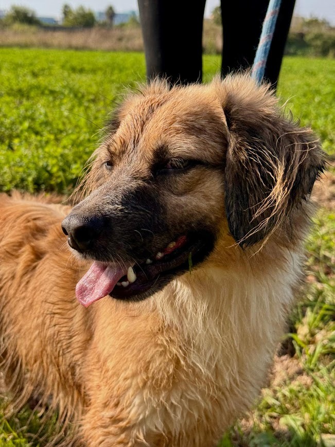 WhatsApp Image 2025-10-21 at 19.59.20