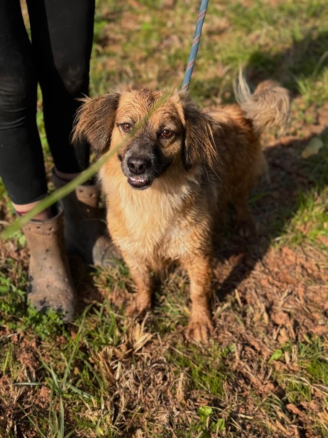 WhatsApp Image 2025-10-21 at 19.59.26