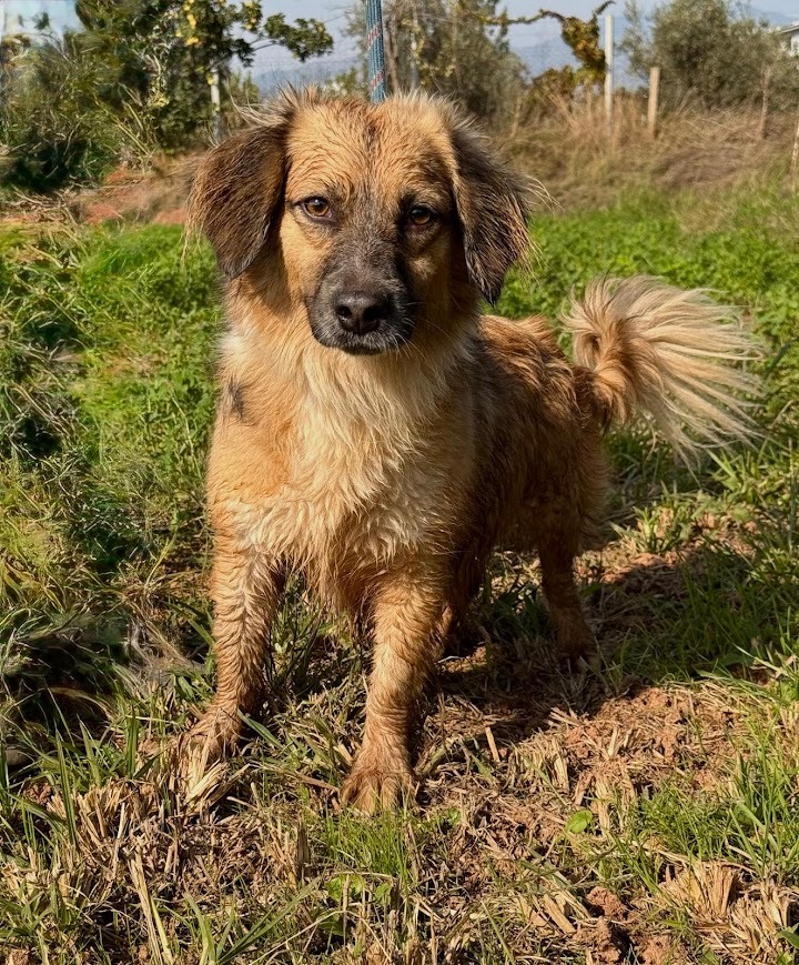 WhatsApp Image 2025-10-21 at 19.59.32