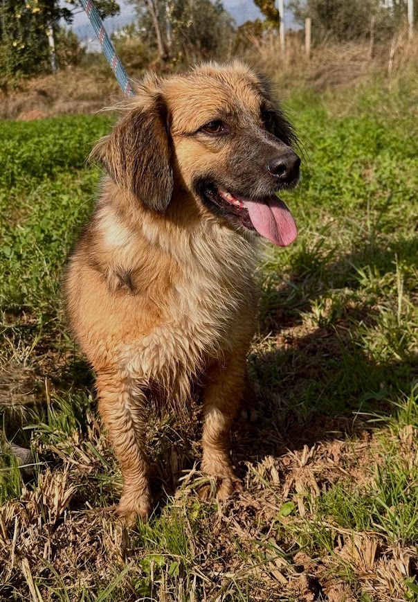 WhatsApp Image 2025-10-21 at 19.59.37