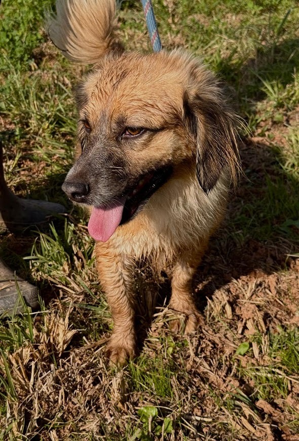 WhatsApp Image 2025-10-21 at 19.59.42