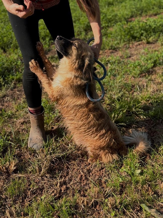 WhatsApp Image 2025-10-21 at 19.59.48