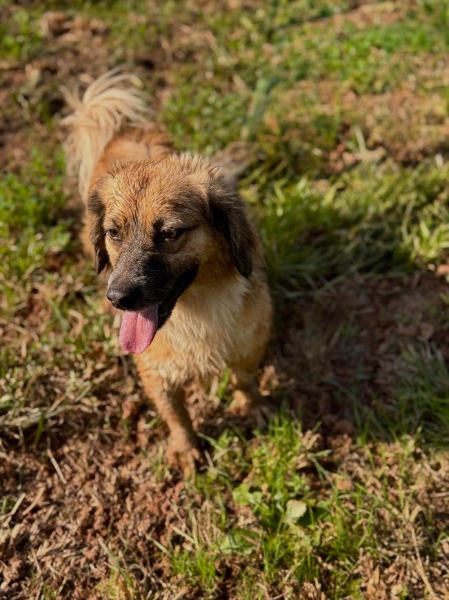 WhatsApp Image 2025-10-21 at 19.59.54