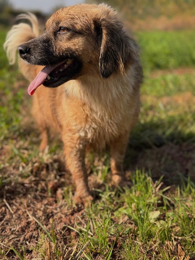 WhatsApp Image 2025-10-21 at 19.59.59