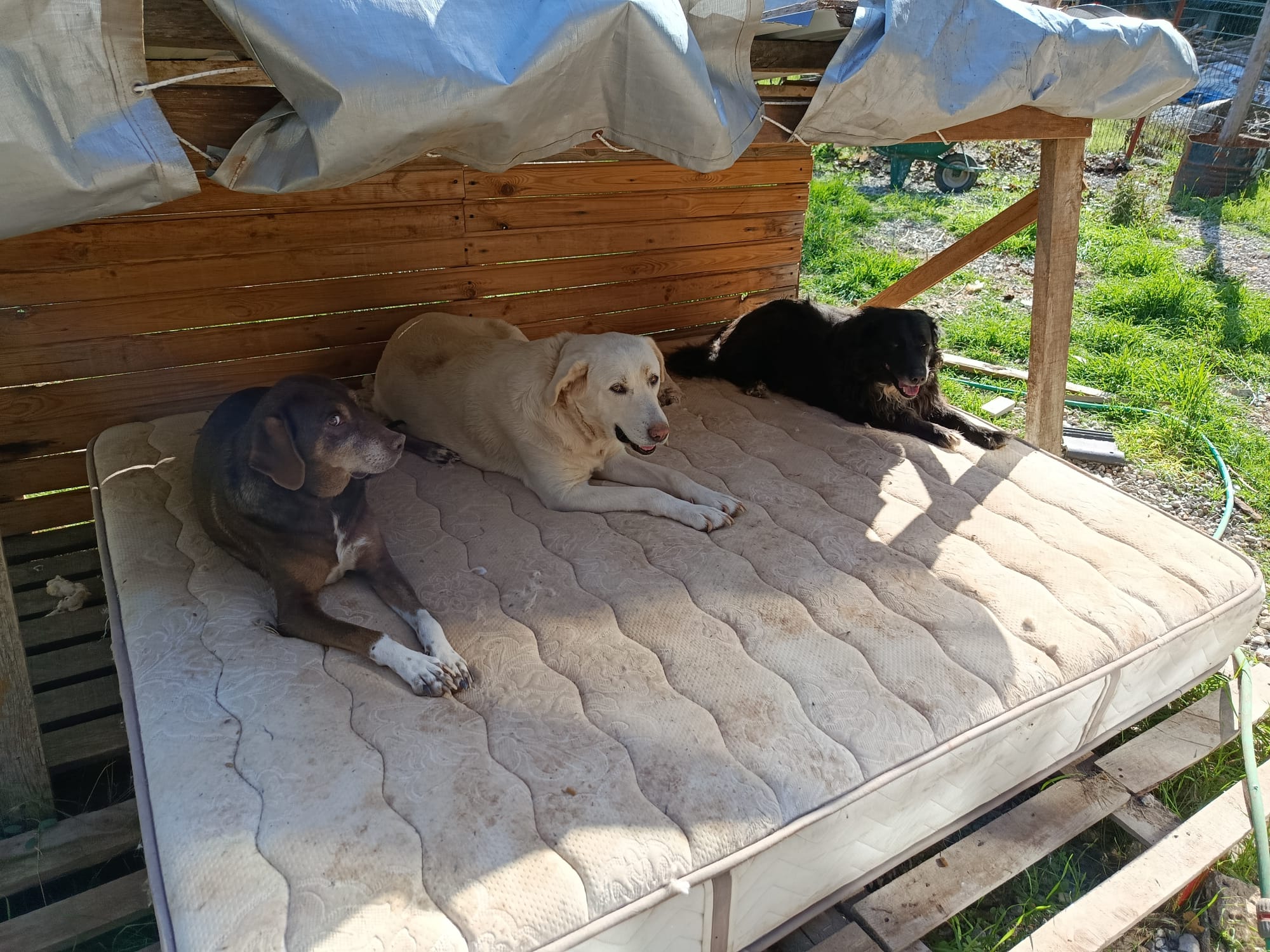 WhatsApp Image 2025-11-21 at 16.52.50