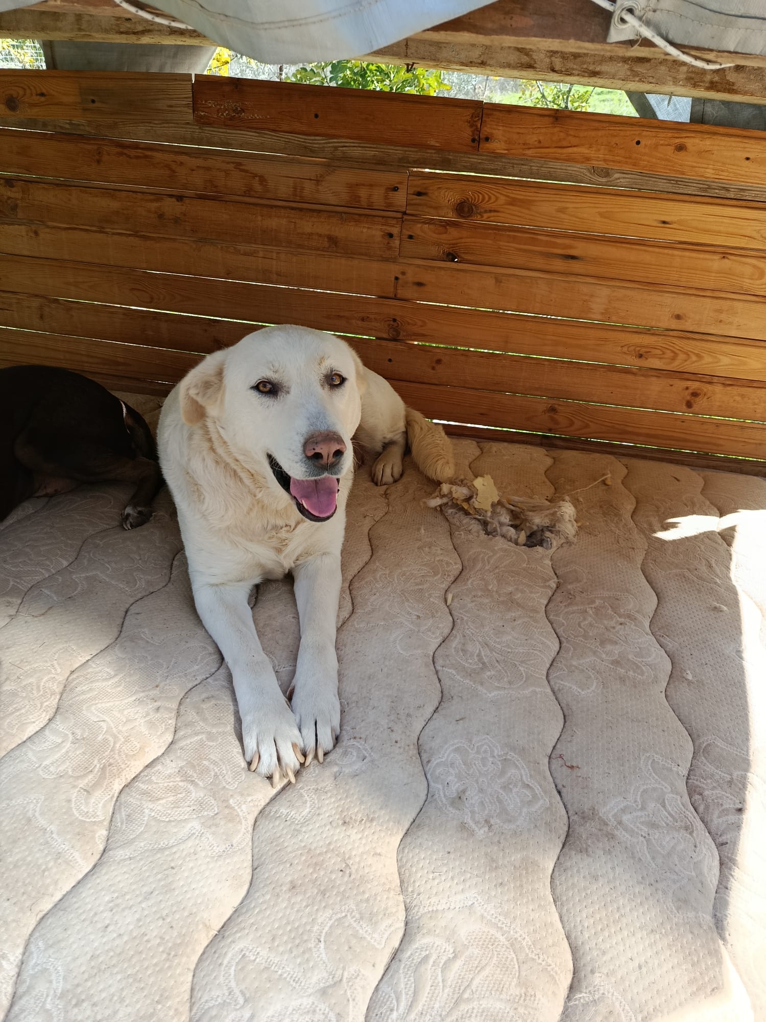 WhatsApp Image 2025-11-21 at 16.52.51 (1)