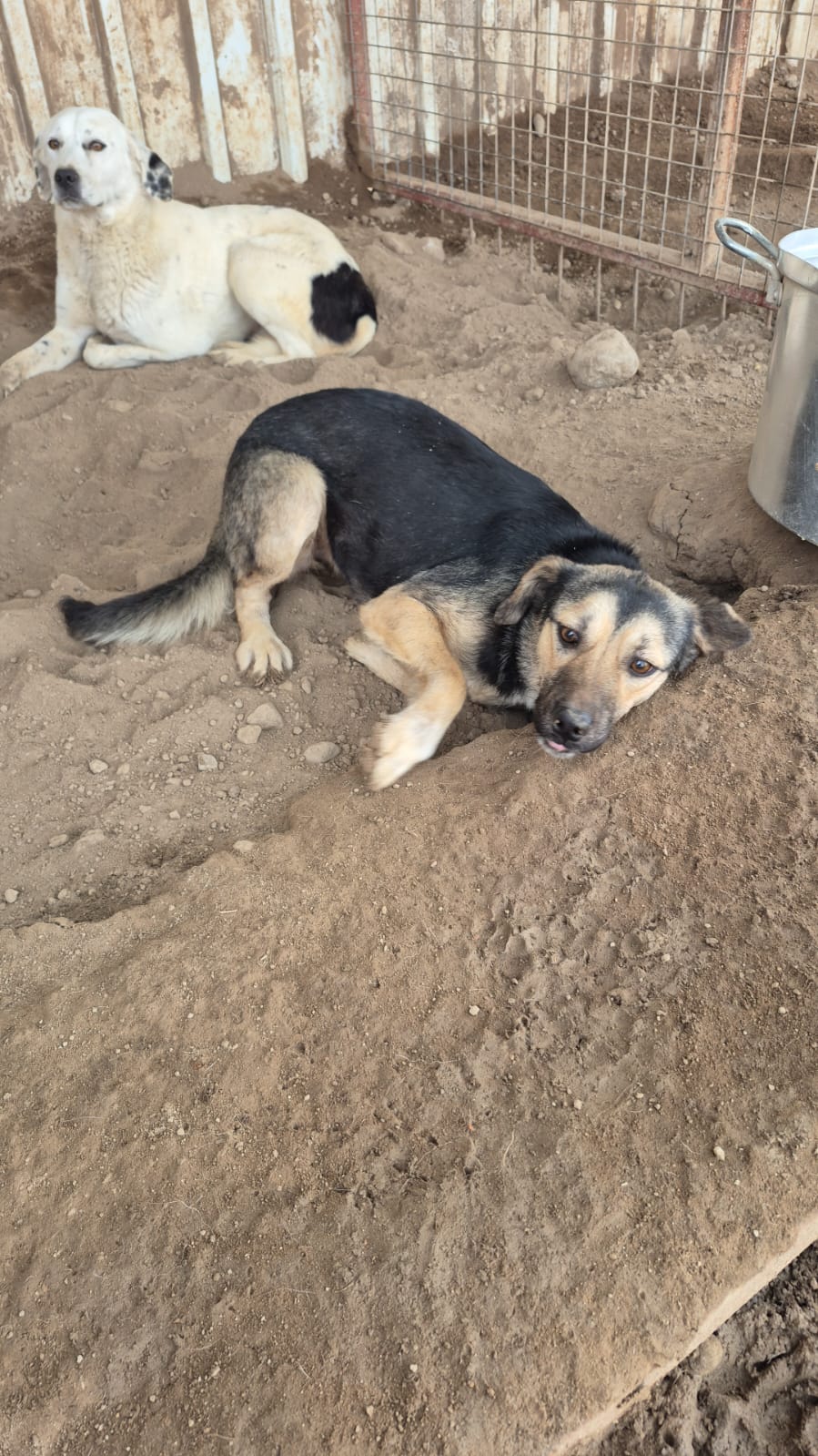 WhatsApp Image 2026-02-14 at 14.56.56