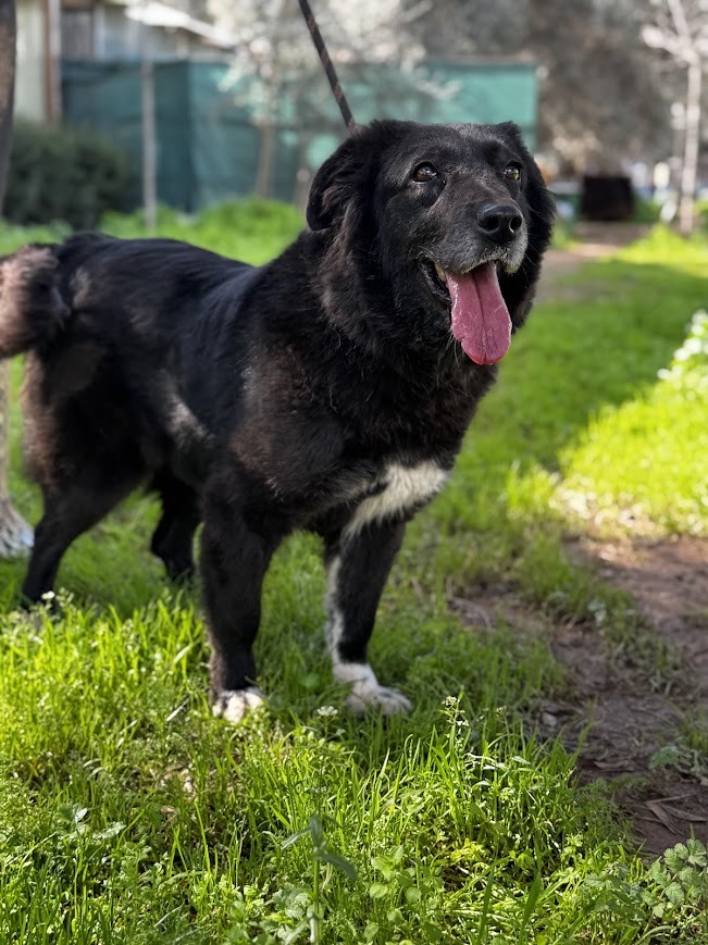 WhatsApp Image 2026-02-14 at 21.05.42