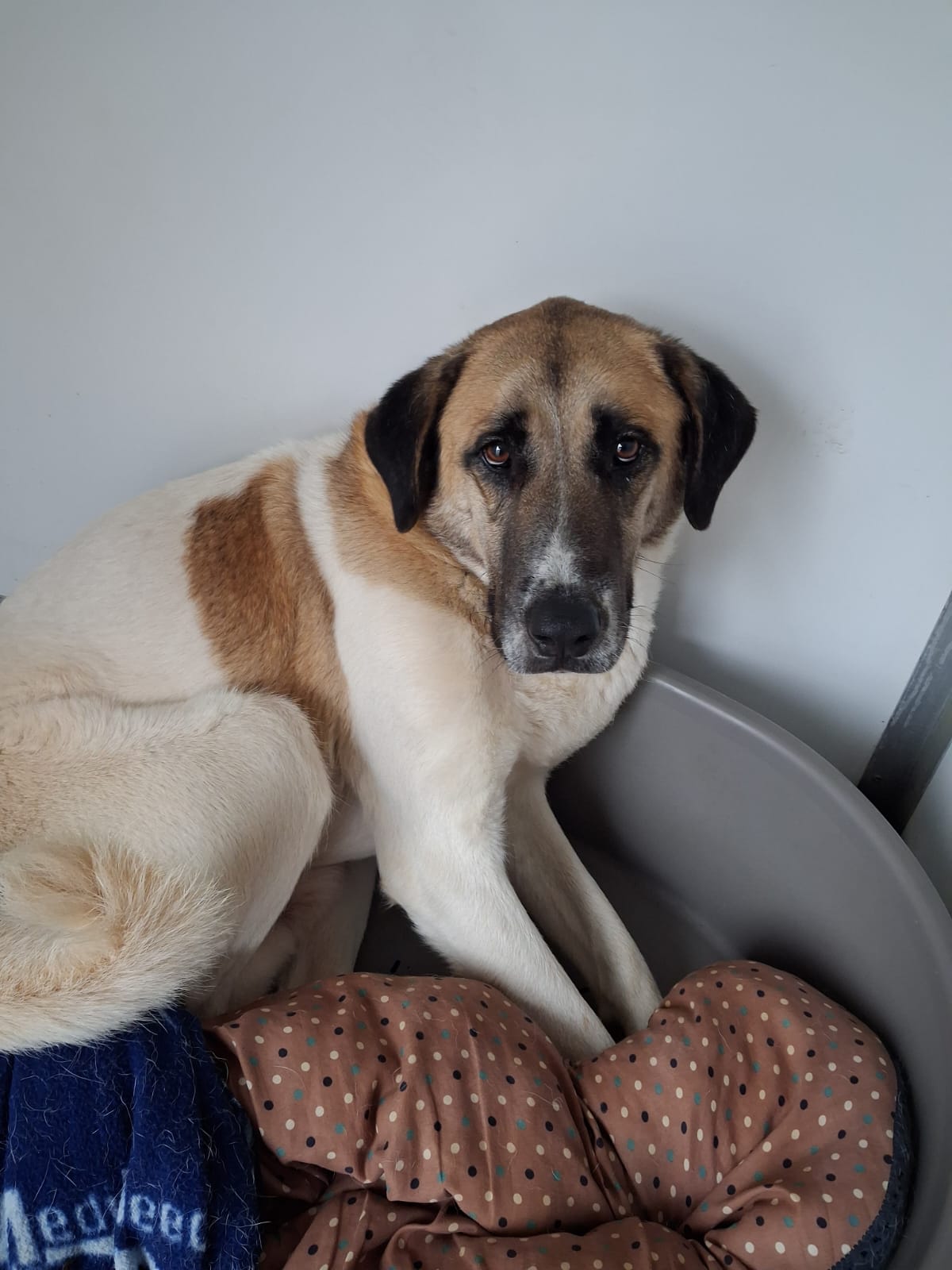 WhatsApp Image 2026-02-16 at 12.43.28