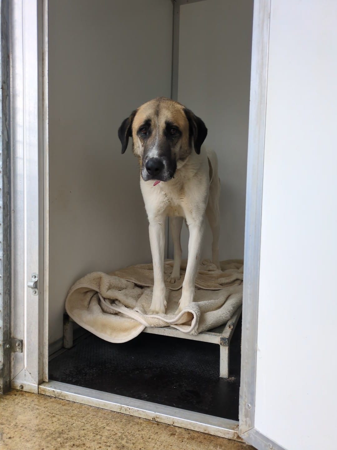 WhatsApp Image 2026-02-16 at 12.43.39