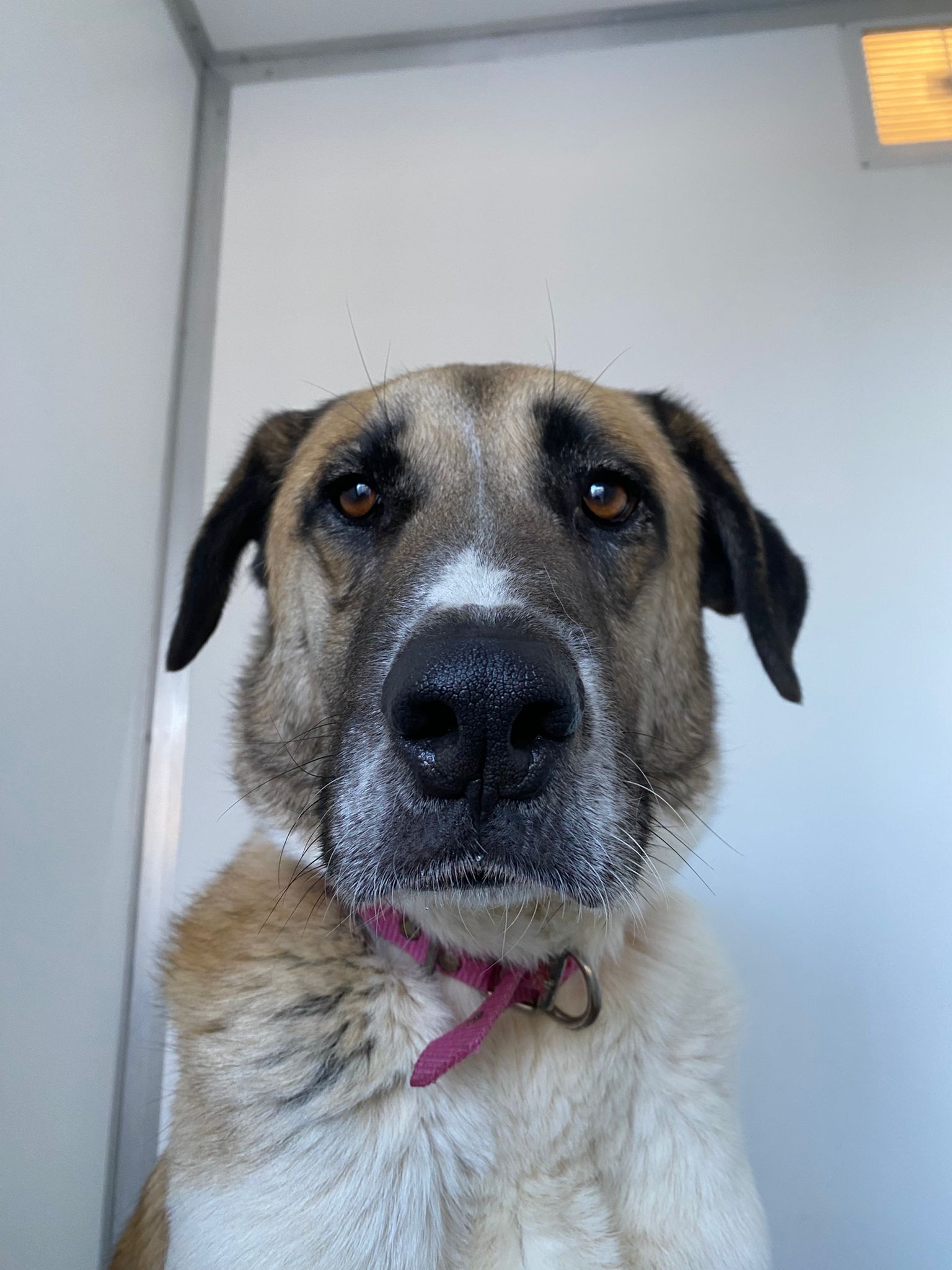 WhatsApp Image 2026-02-16 at 12.43.52