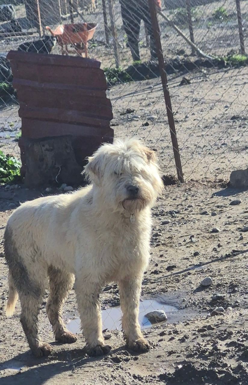 WhatsApp Image 2026-02-19 at 18.27.31