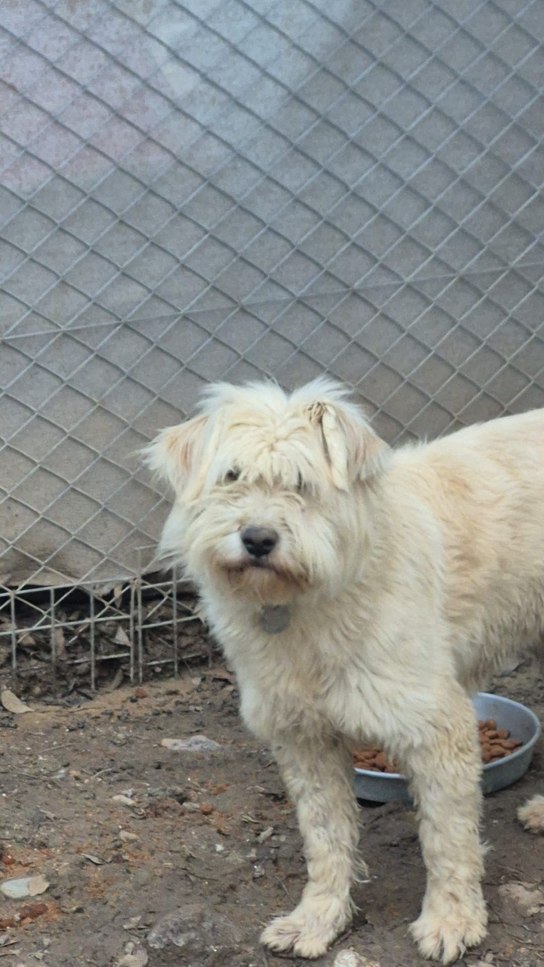 WhatsApp Image 2026-02-19 at 18.28.14 (1)