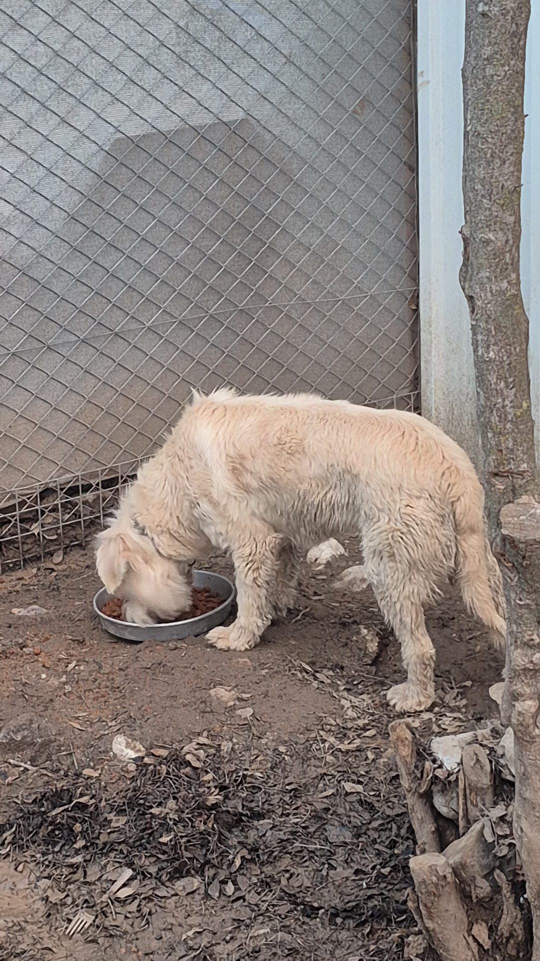 WhatsApp Image 2026-02-19 at 18.28.15 (1)