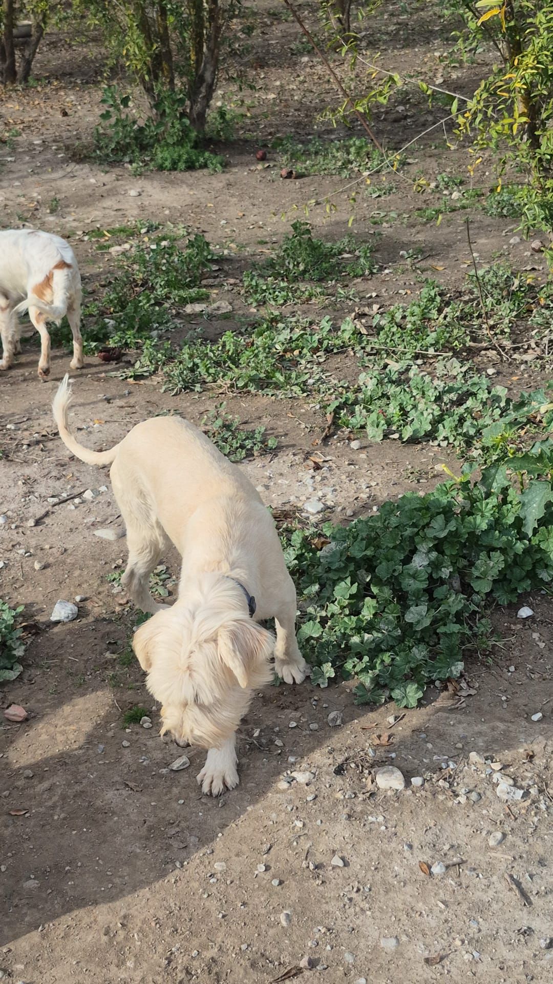 WhatsApp Image 2026-02-19 at 18.28.15 (2)