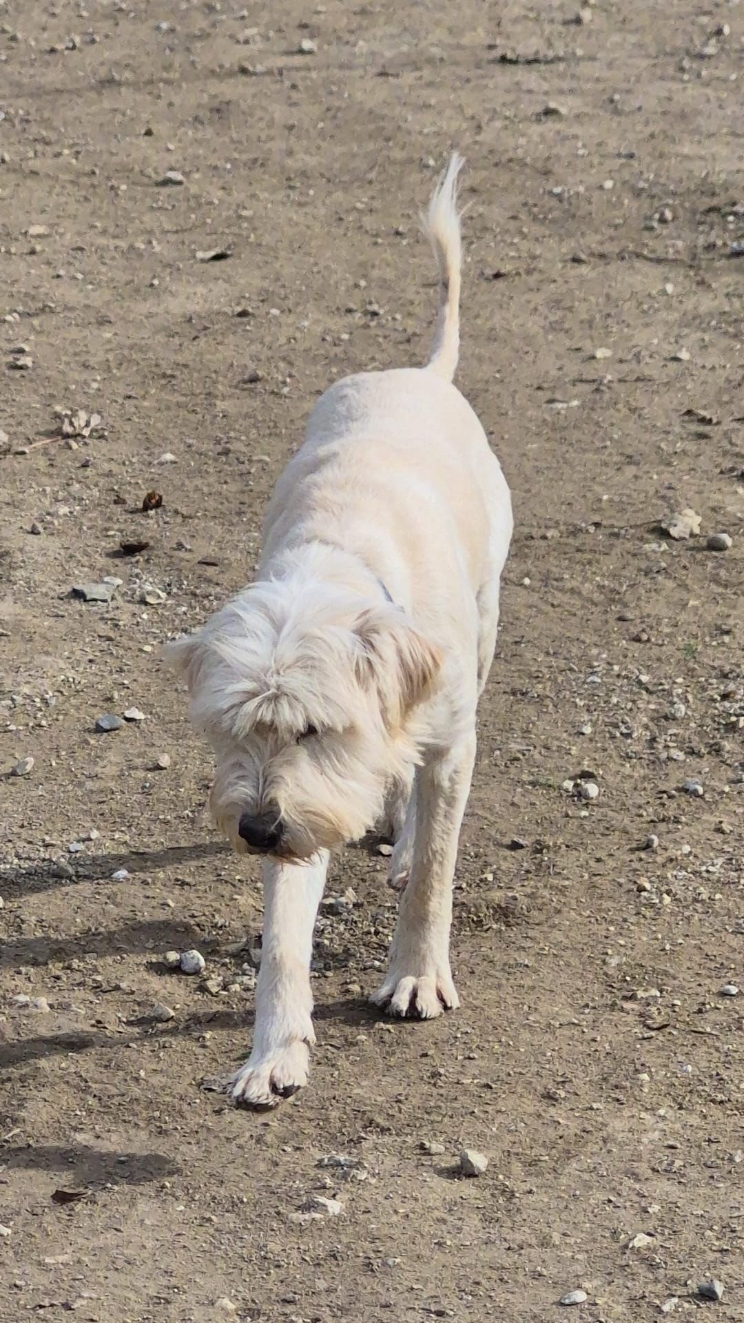 WhatsApp Image 2026-02-19 at 18.28.15 (3)