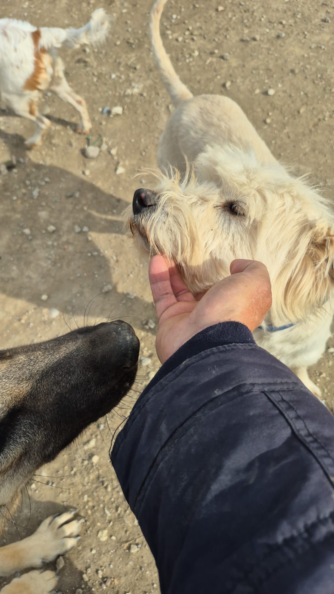 WhatsApp Image 2026-02-19 at 18.28.15 (4)