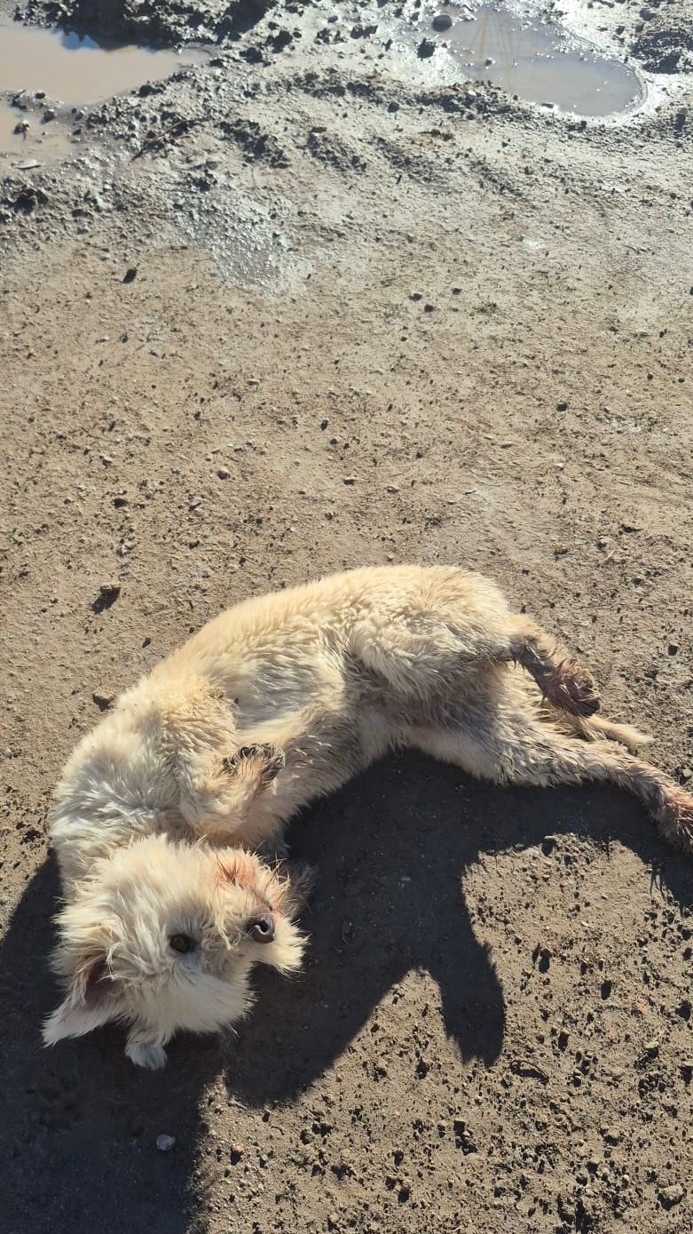 WhatsApp Image 2026-02-19 at 18.28.16