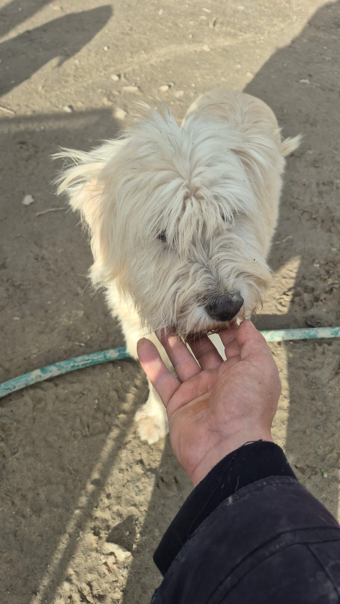 WhatsApp Image 2026-02-19 at 18.29.02