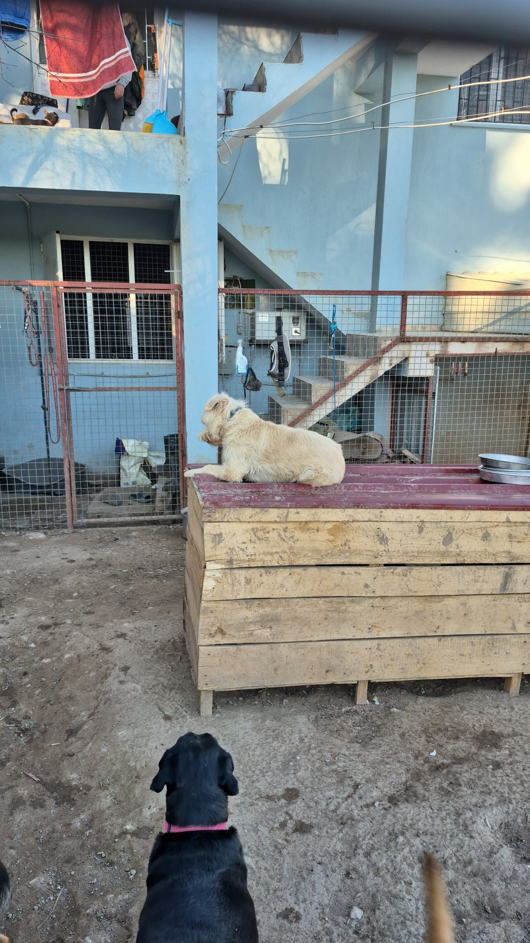 WhatsApp Image 2026-02-19 at 18.30.04 (1)