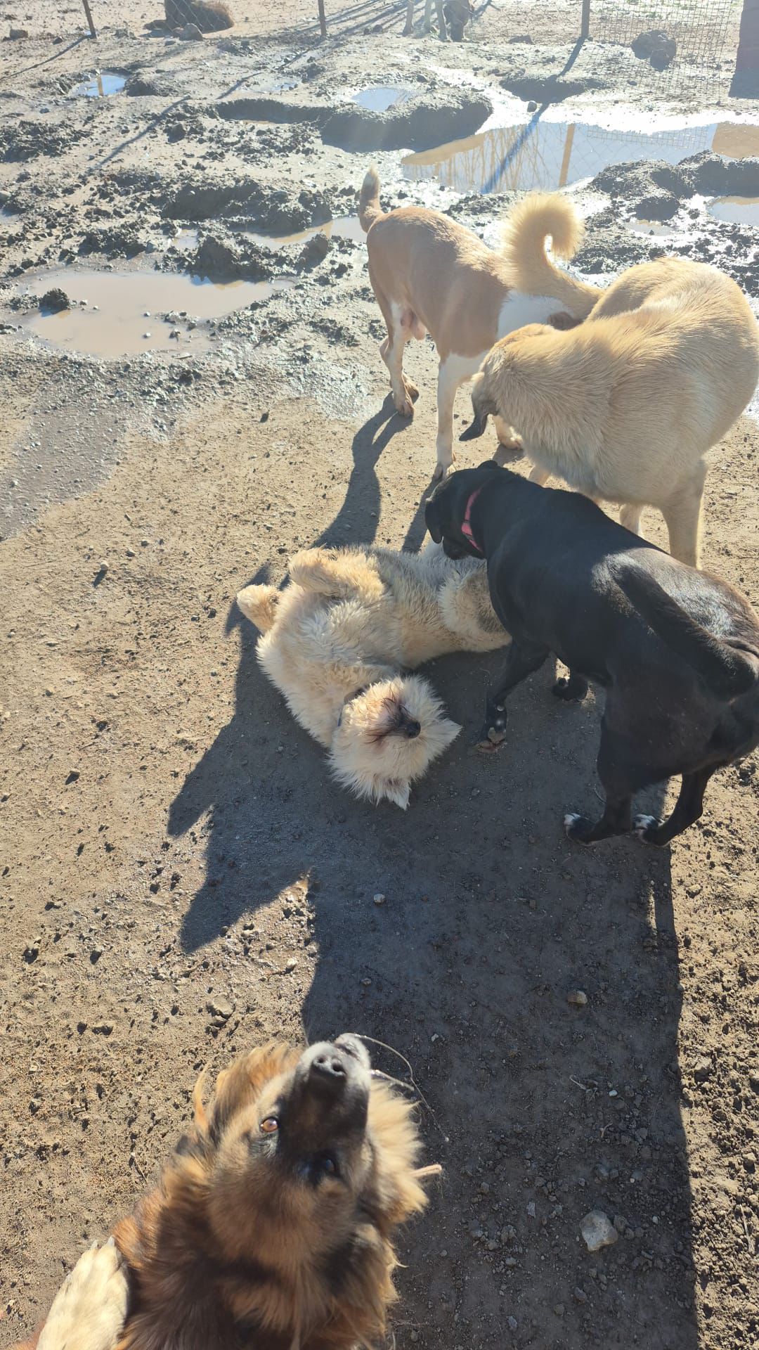 WhatsApp Image 2026-02-19 at 18.30.04