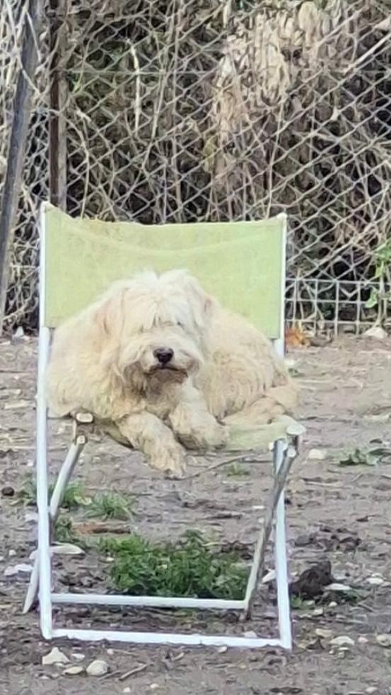 WhatsApp Image 2026-02-20 at 14.00.34