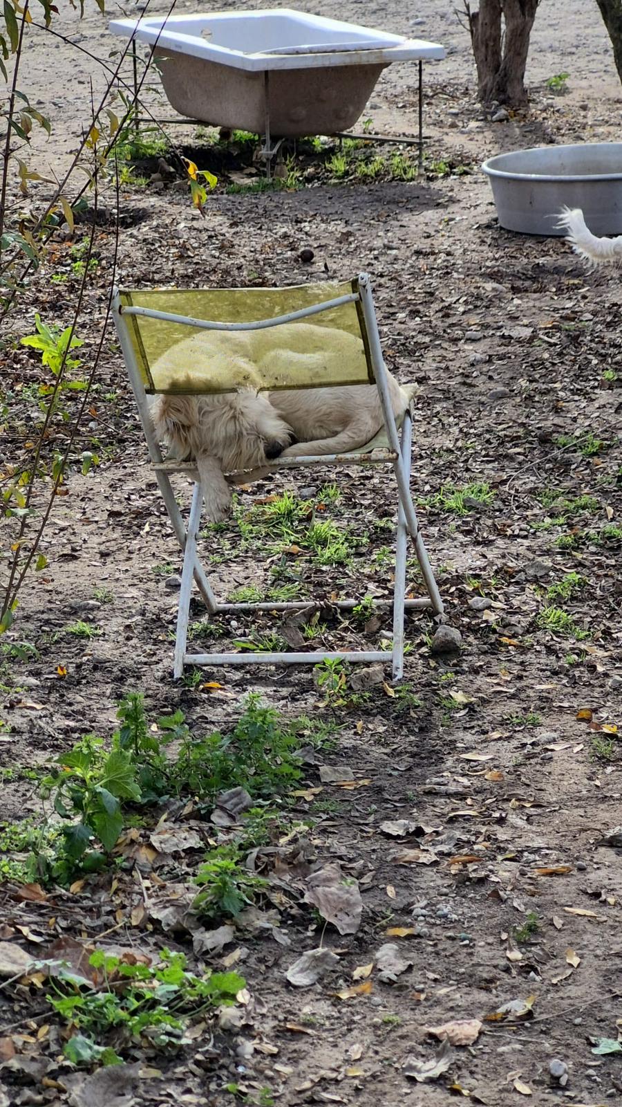 WhatsApp Image 2026-02-20 at 14.00.35 (1)