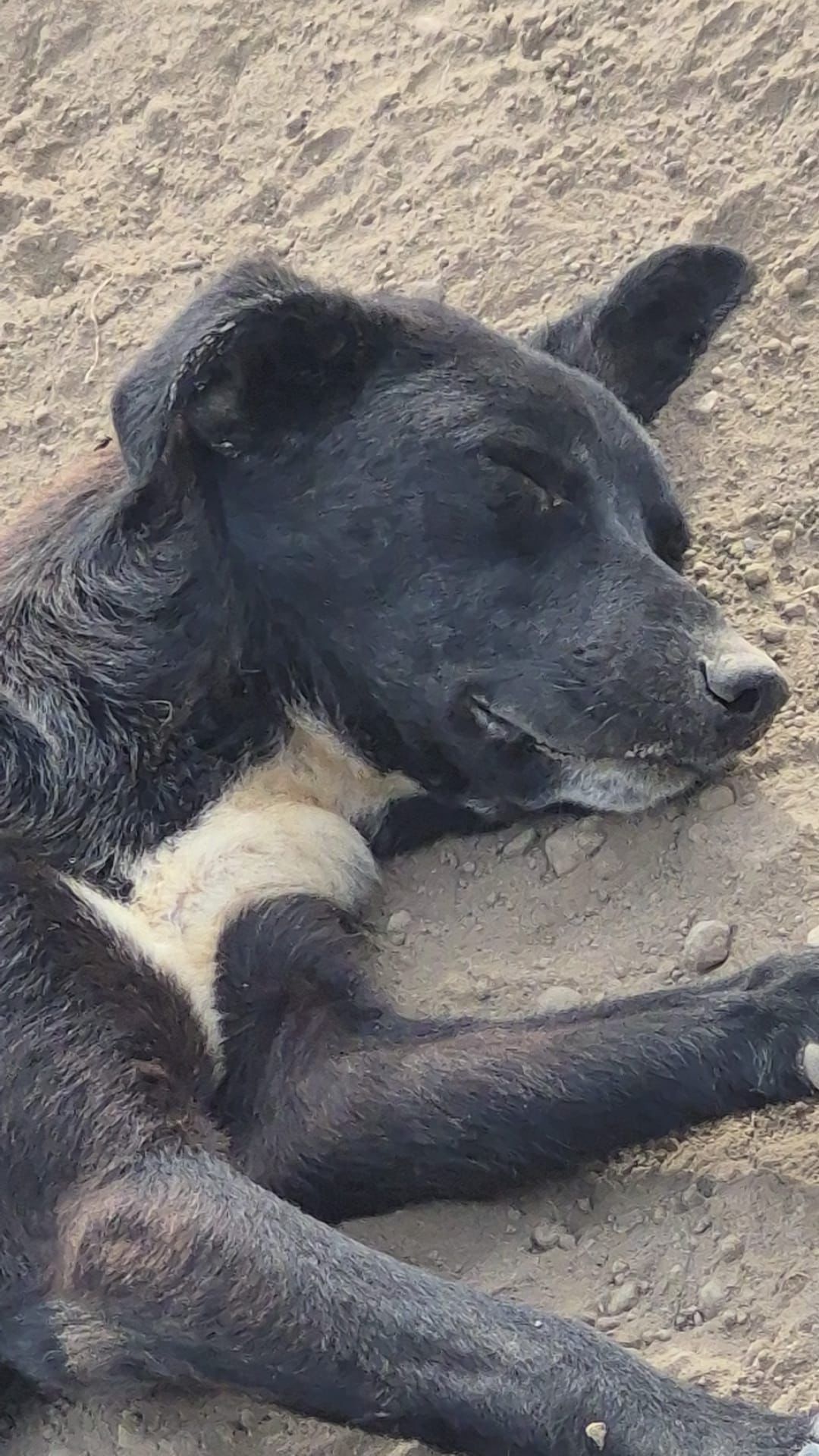 WhatsApp Image 2026-02-23 at 21.12.52 (2)