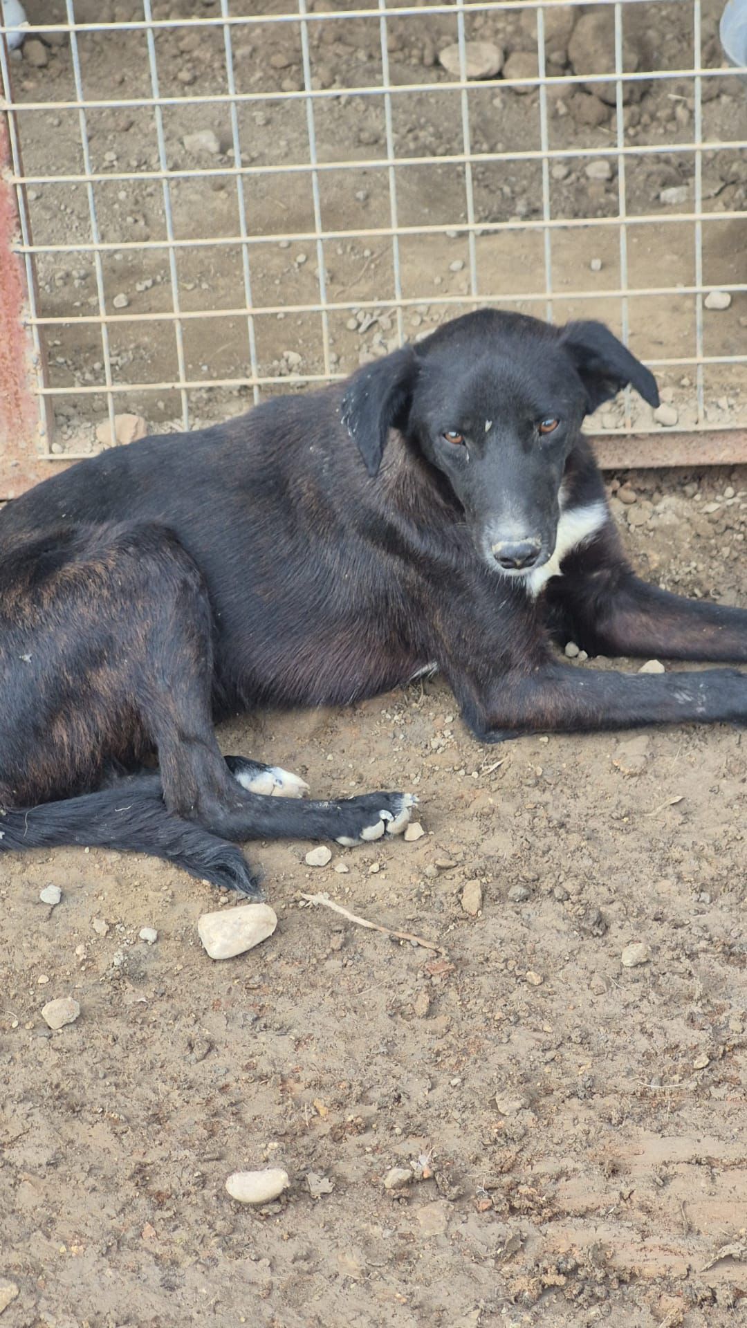 WhatsApp Image 2026-02-23 at 21.12.52