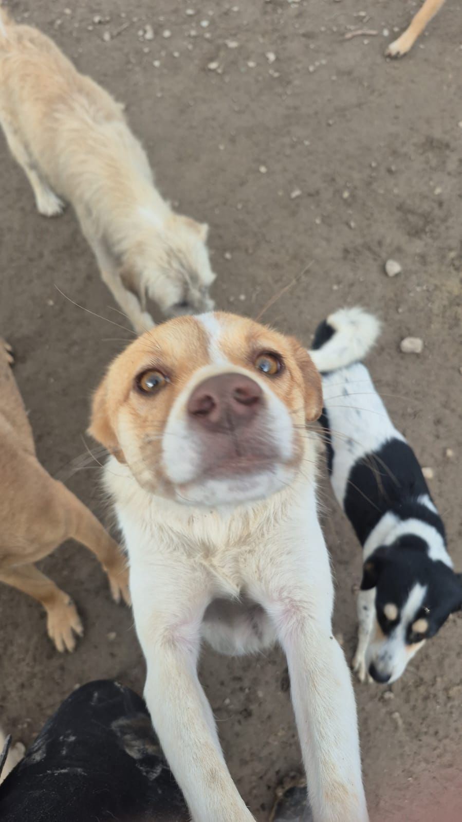 WhatsApp Image 2026-02-23 at 21.18.52 (1)