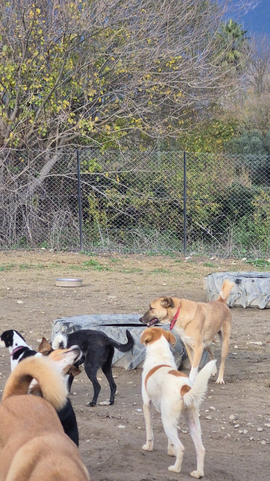 WhatsApp Image 2026-02-23 at 21.18.53 (1)