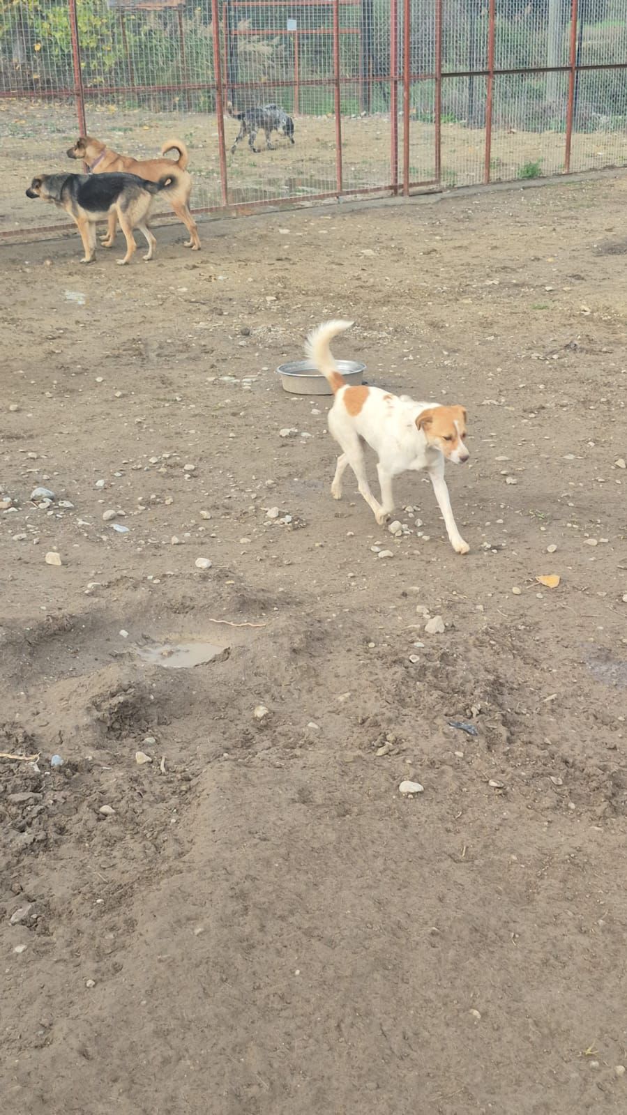 WhatsApp Image 2026-02-23 at 21.18.53