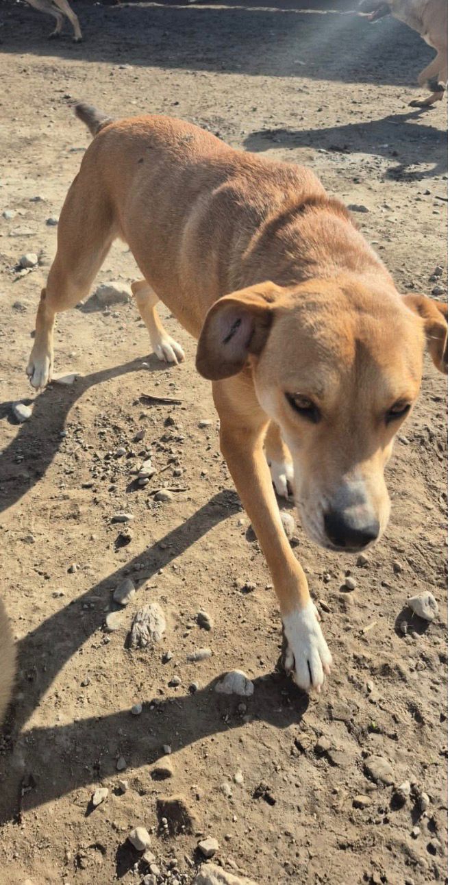 WhatsApp Image 2026-02-23 at 21.38.43