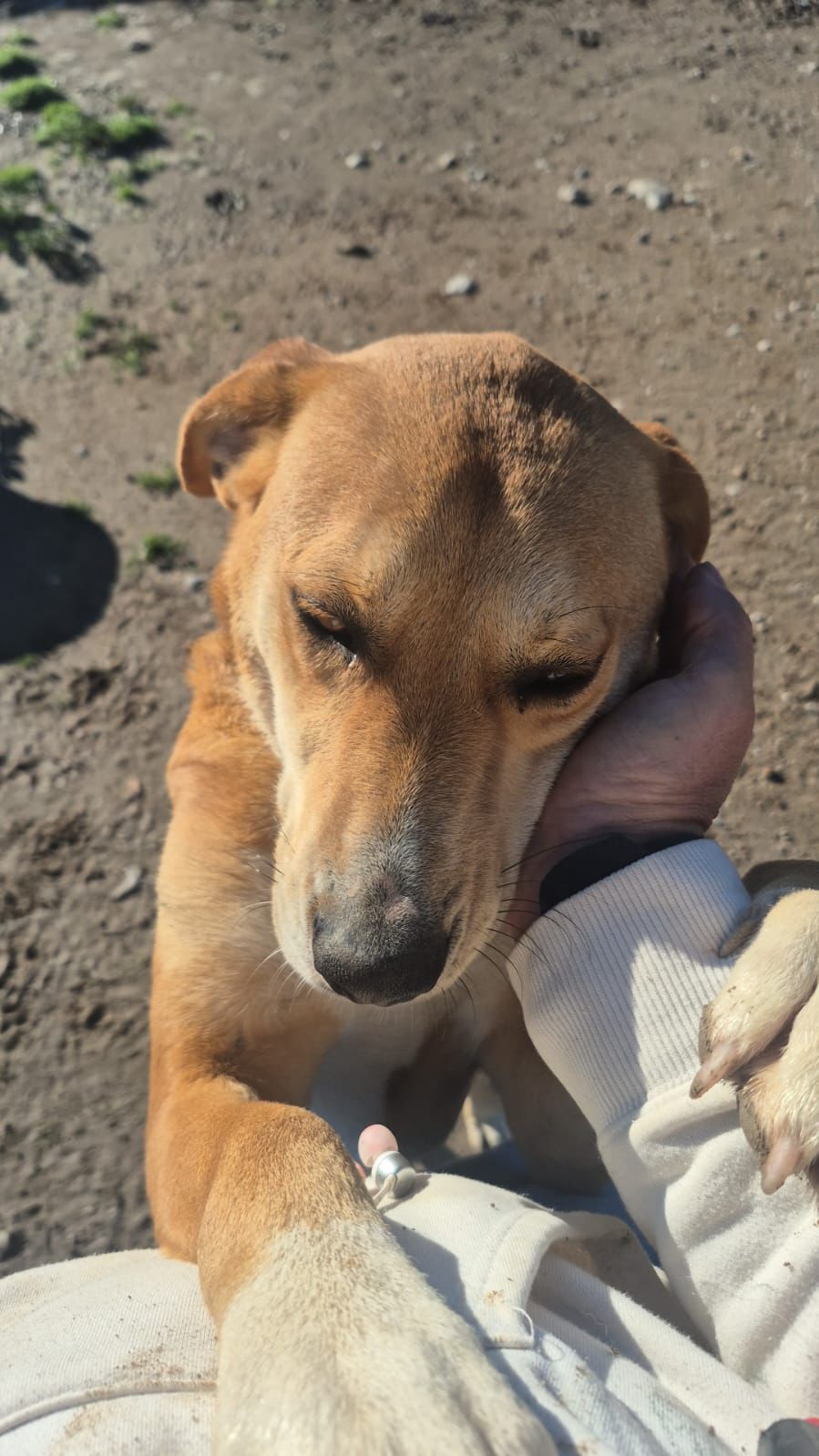 WhatsApp Image 2026-02-23 at 22.29.30 (2)