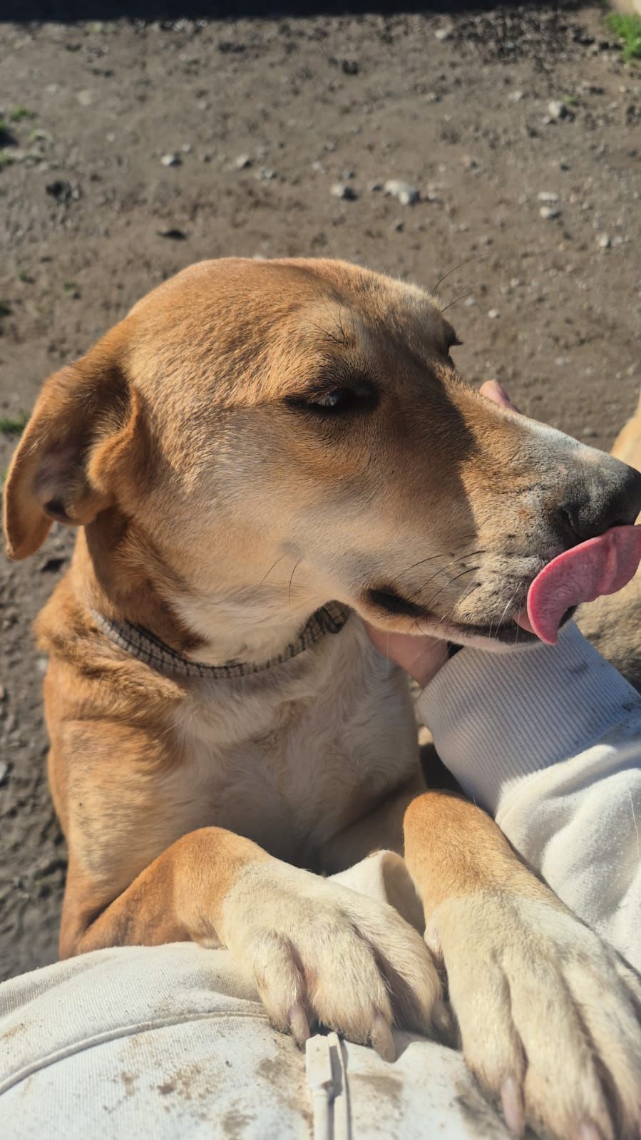 WhatsApp Image 2026-02-23 at 22.29.30