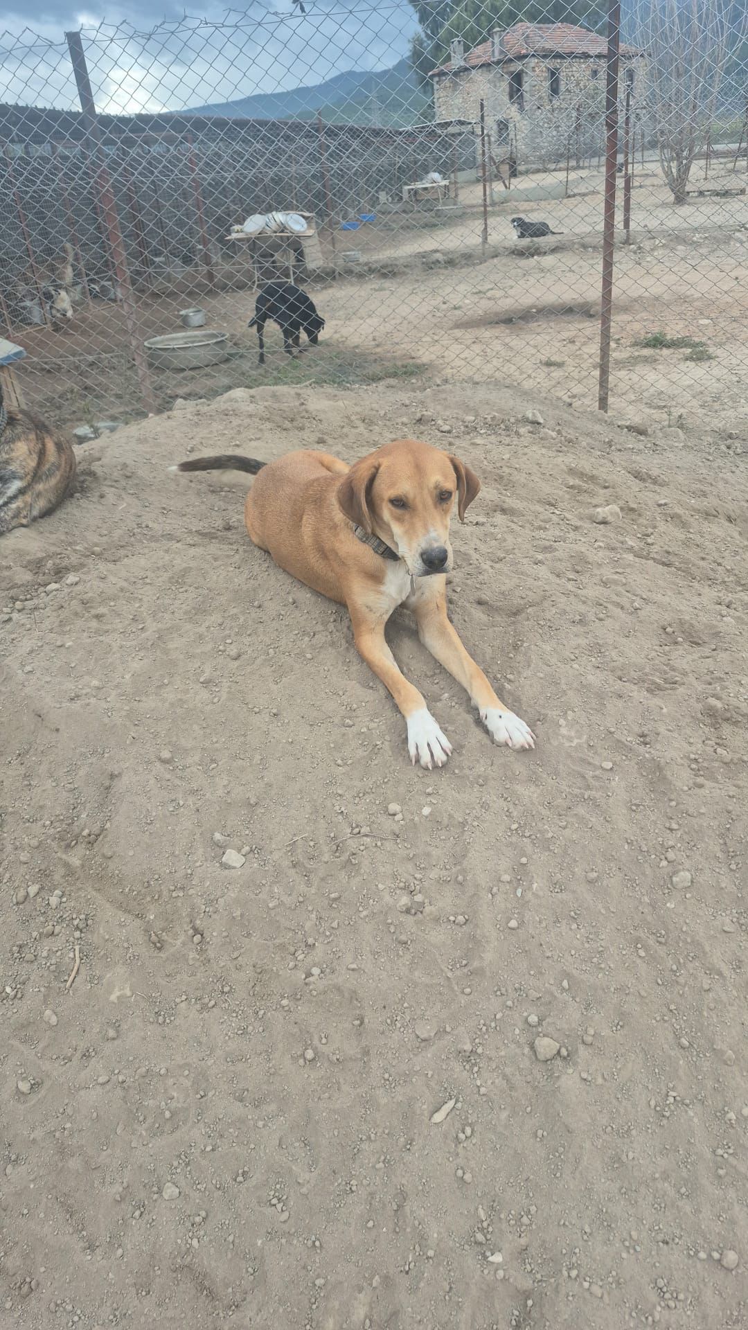 WhatsApp Image 2026-02-23 at 22.30.54