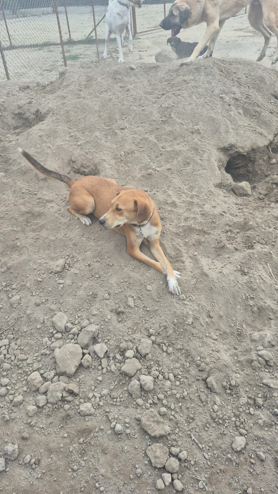 WhatsApp Image 2026-02-23 at 22.30.55