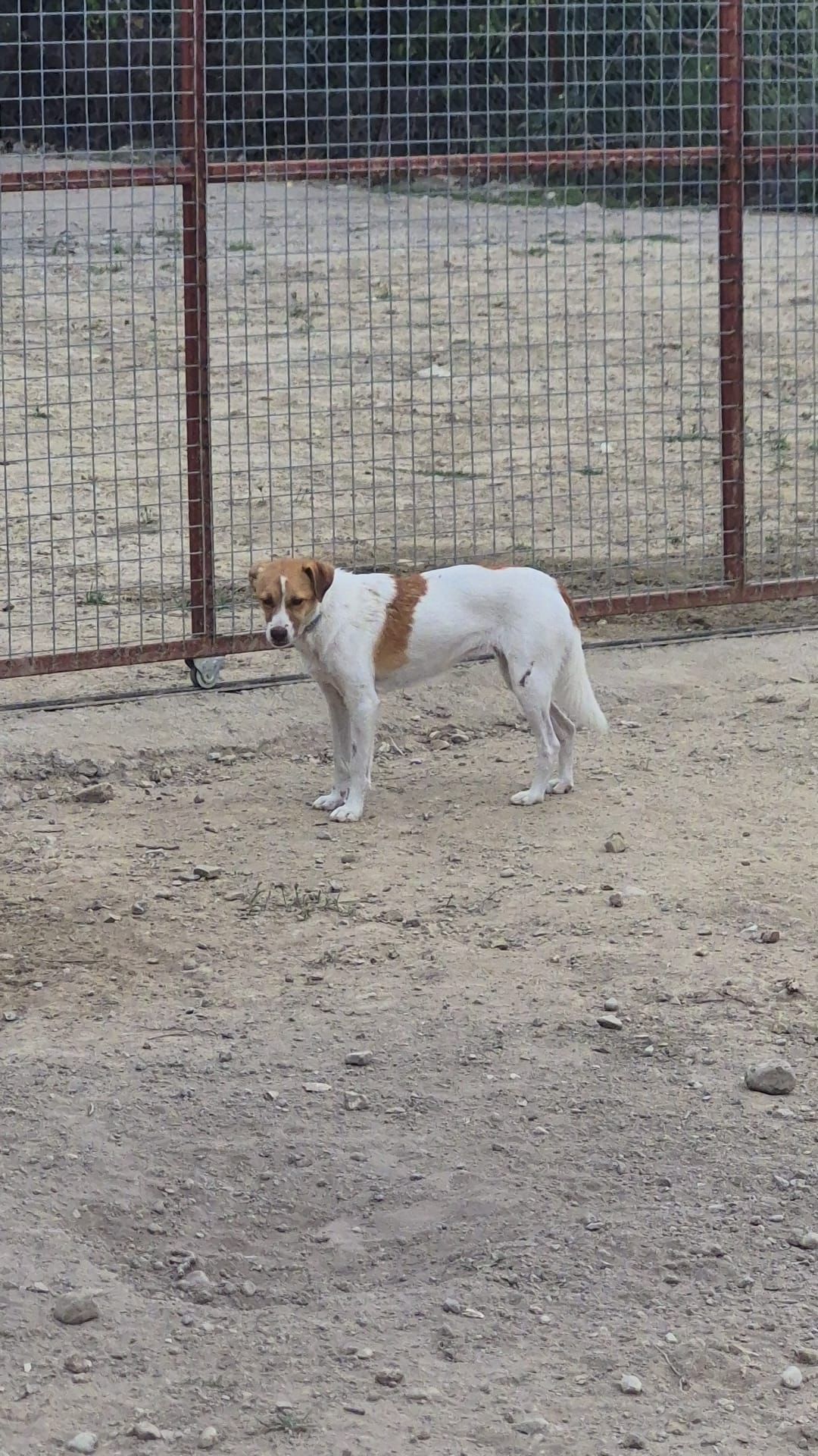 WhatsApp Image 2026-02-23 at 22.33.03