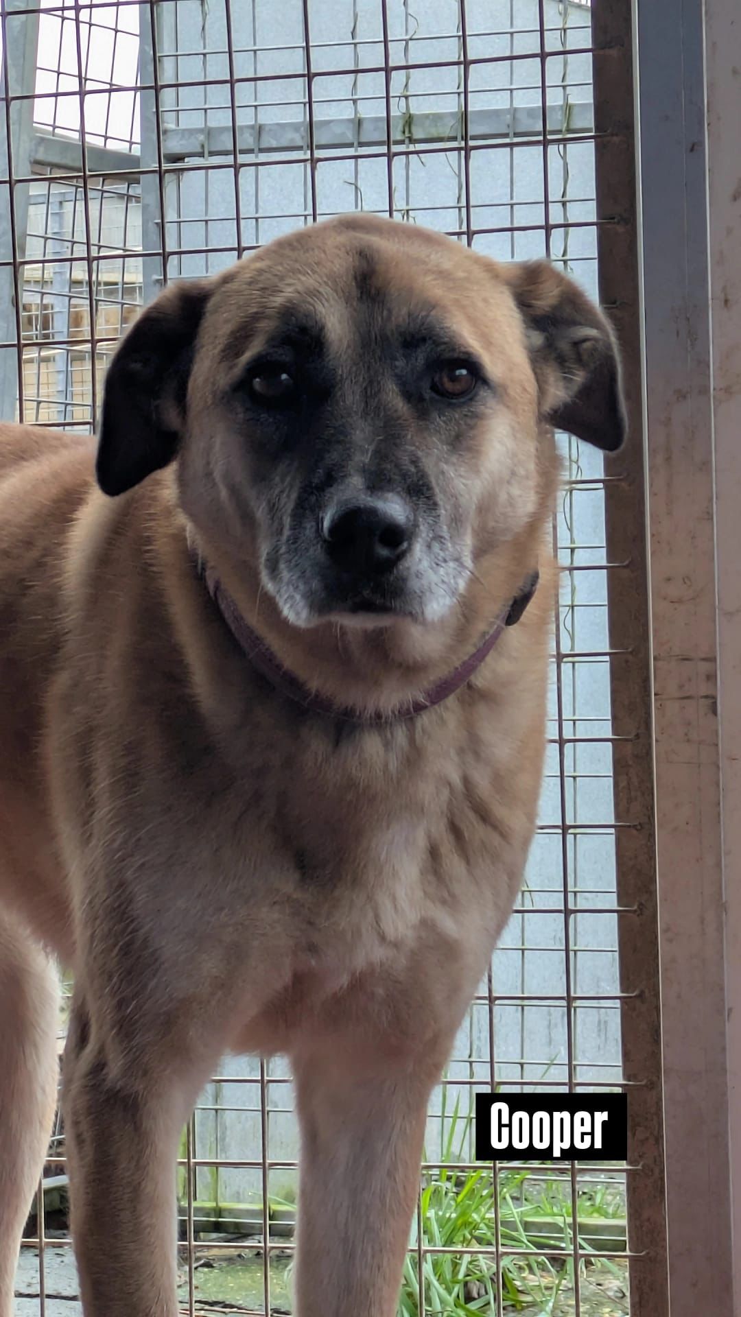 WhatsApp Image 2026-02-25 at 07.41.28